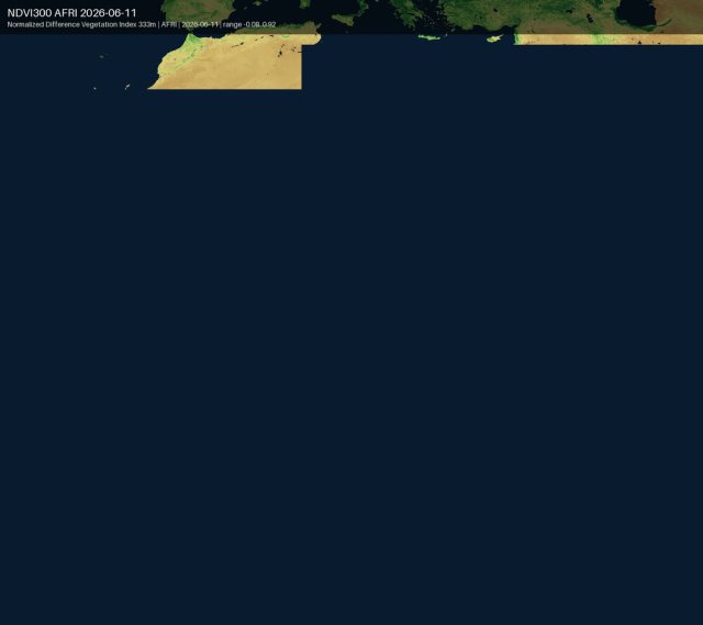 Current weather satellite image from Sentinel NDVI: Africa and South America vegetation index